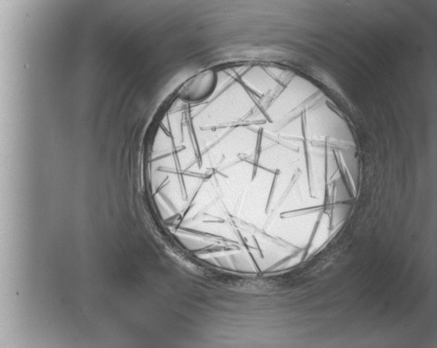 X0000080171079200612302213