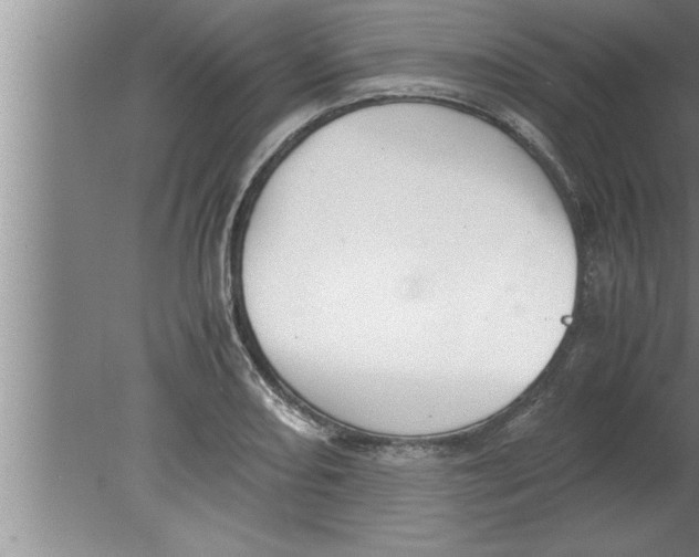 X0000080171082200612302213