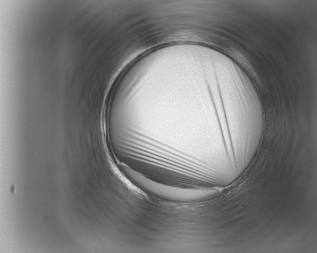 X0000080171084200612302213