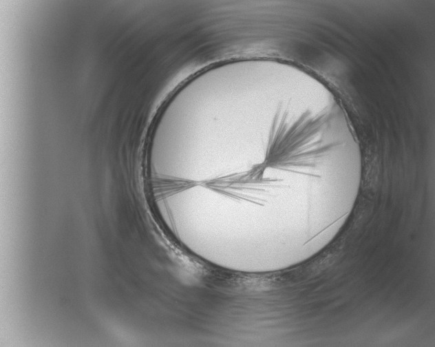 X0000080171086200612302213