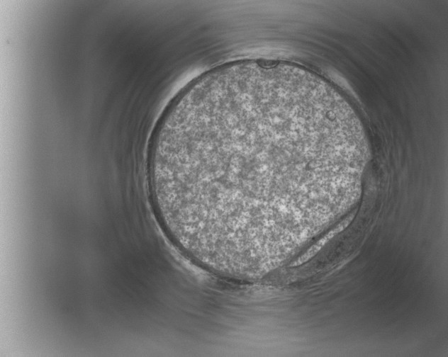 X0000080171087200612302213