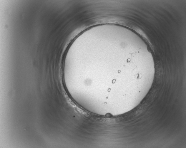 X0000080171088200612302213