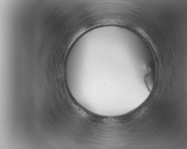 X0000080171089200612302213