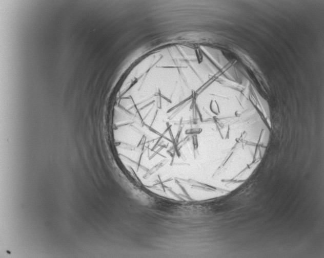 X0000080171091200612302213