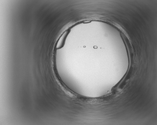 X0000080171093200612302213