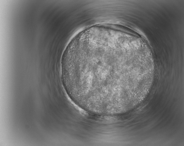 X0000080171095200612302213