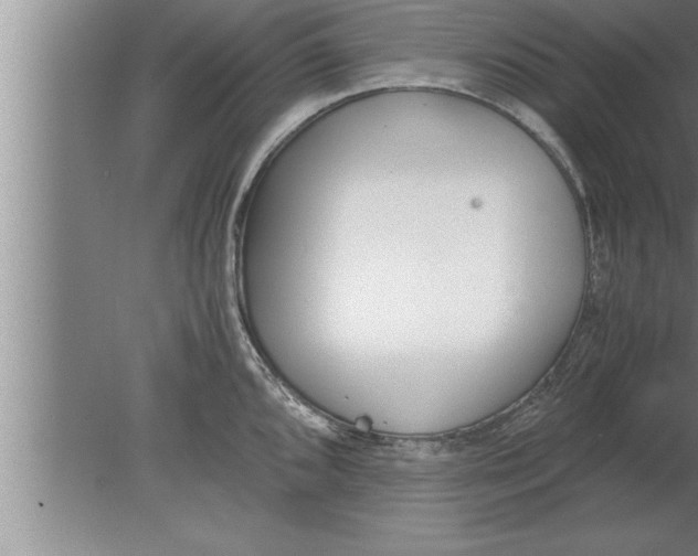 X0000080171096200612302213