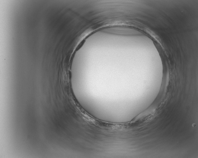 X0000080171097200612302213