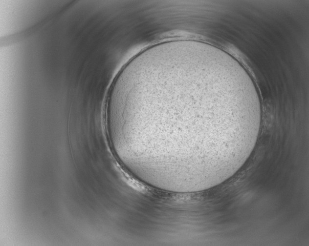 X0000080171098200612302213