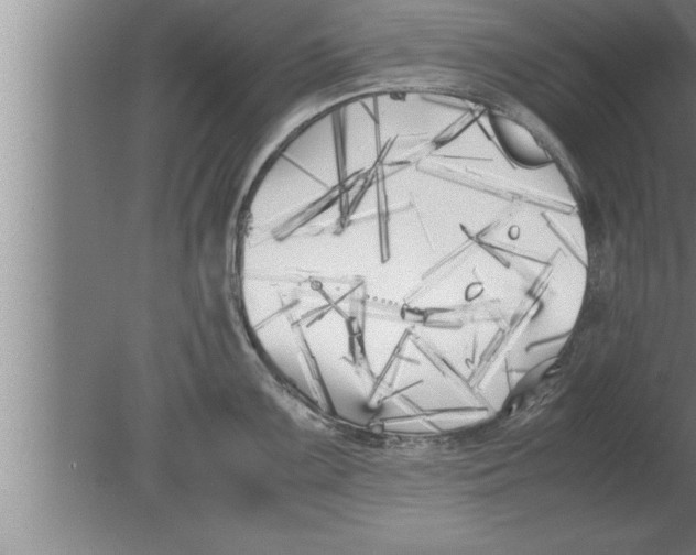 X0000080171099200612302213