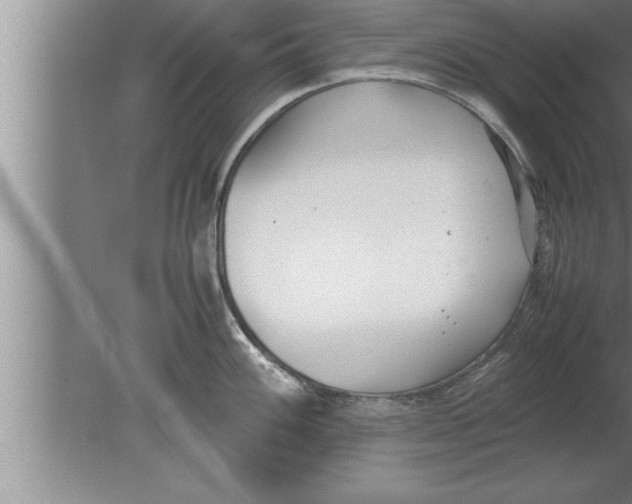 X0000080171100200612302213