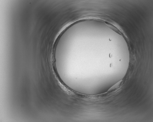 X0000080171101200612302213