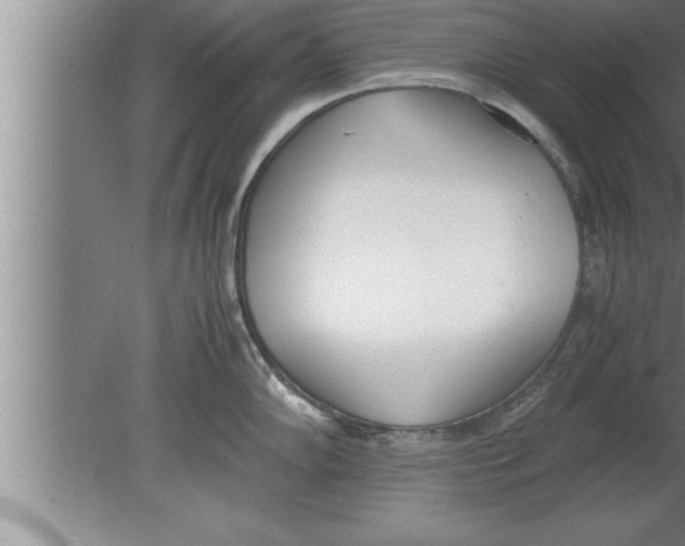 X0000080171102200612302213