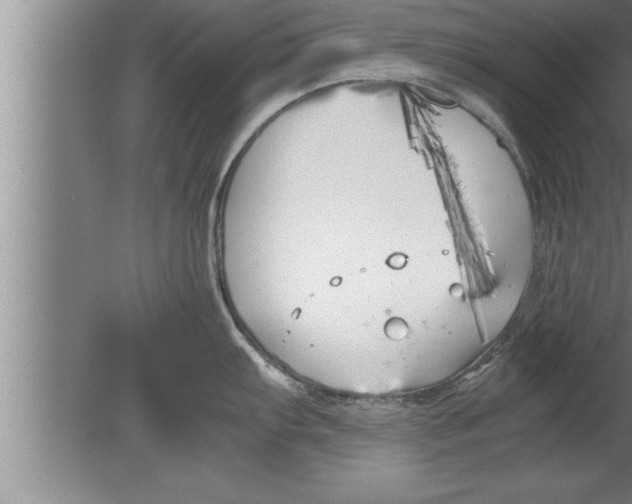 X0000080171103200612302213