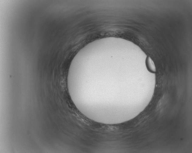 X0000080171109200612302212