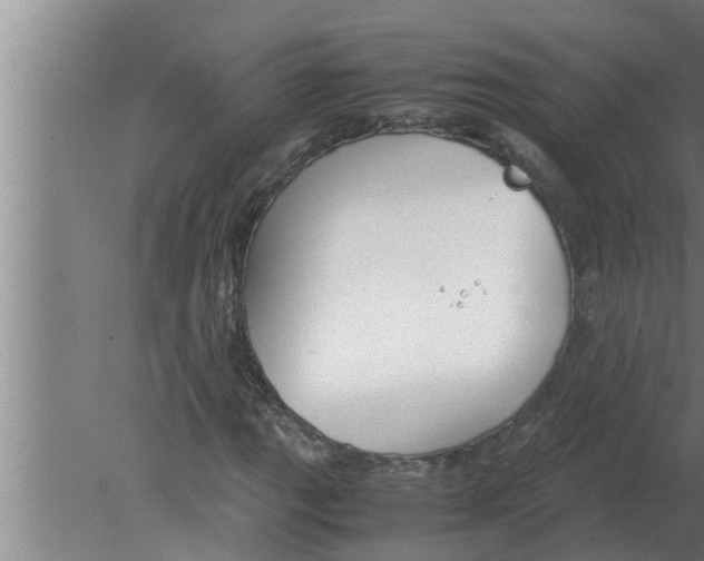 X0000080171111200612302212