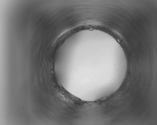 X0000080171112200612302212