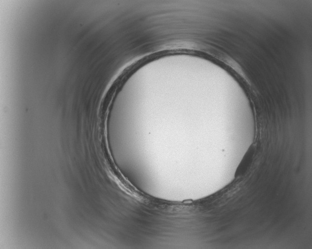 X0000080171116200612302212