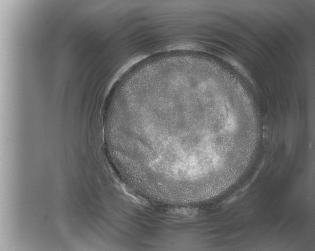 X0000080171117200612302212