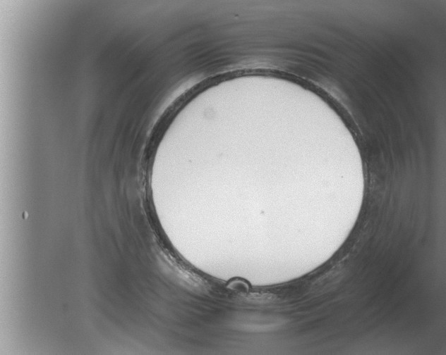 X0000080171119200612302212