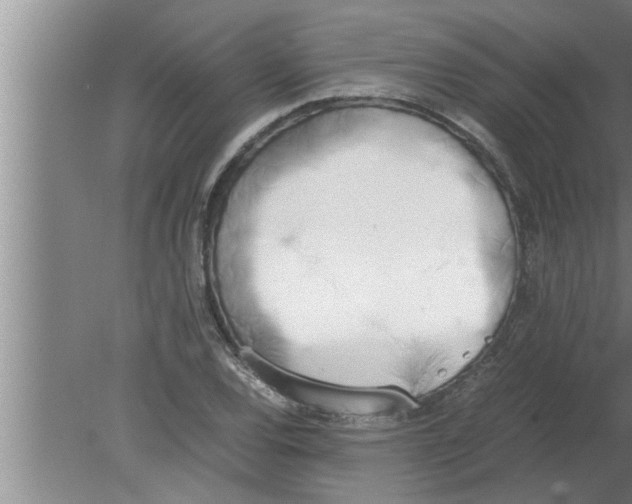 X0000080171120200612302212