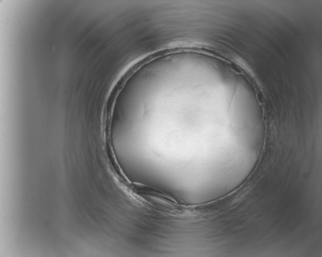 X0000080171124200612302212