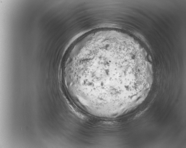 X0000080171125200612302212