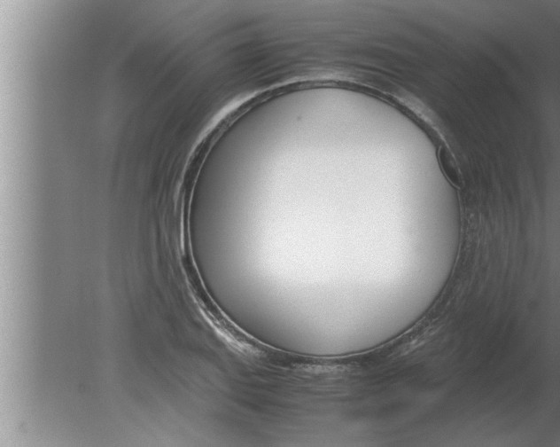 X0000080171127200612302212