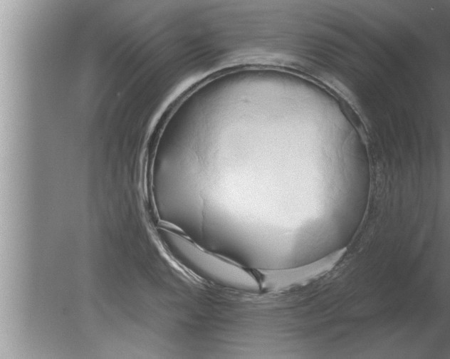 X0000080171128200612302212