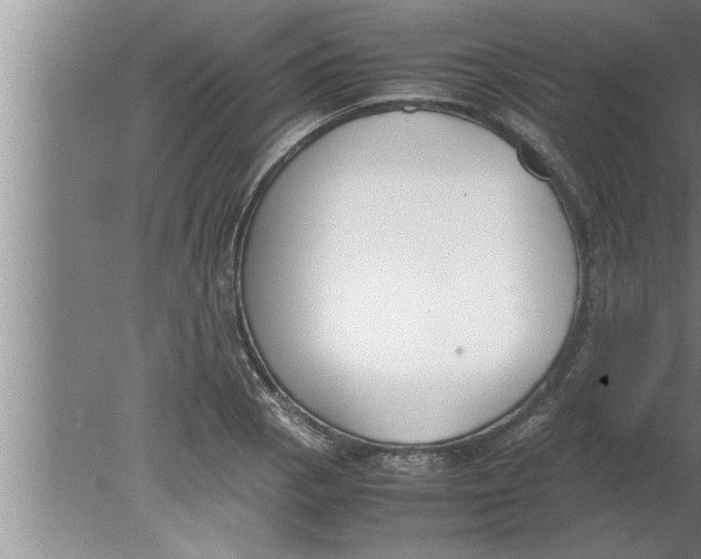 X0000080171129200612302212