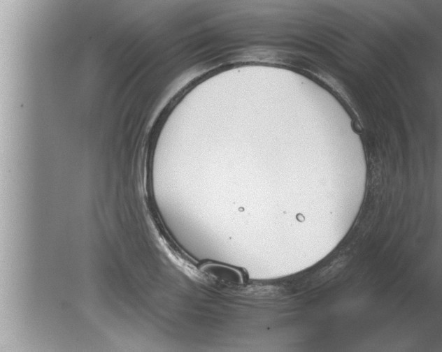 X0000080171131200612302212