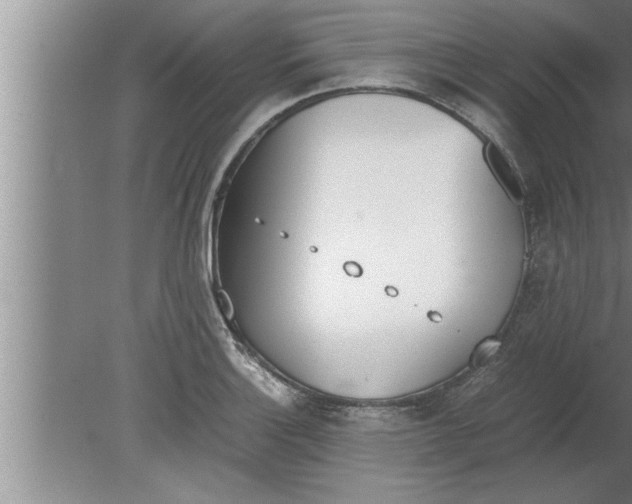 X0000080171132200612302212