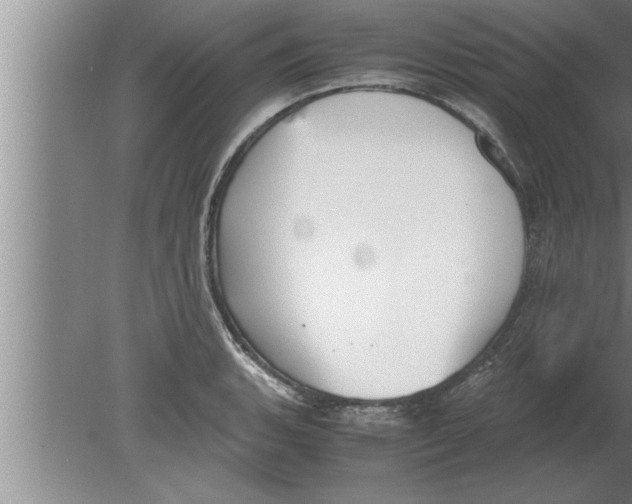 X0000080171135200612302212