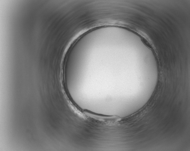 X0000080171136200612302212