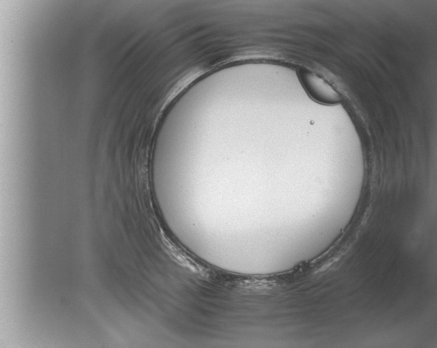 X0000080171137200612302212