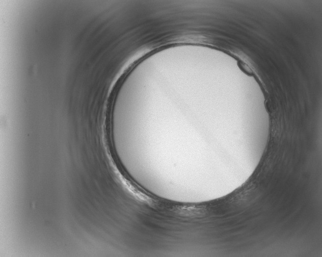 X0000080171139200612302212