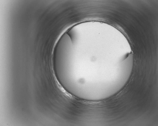 X0000080171140200612302212