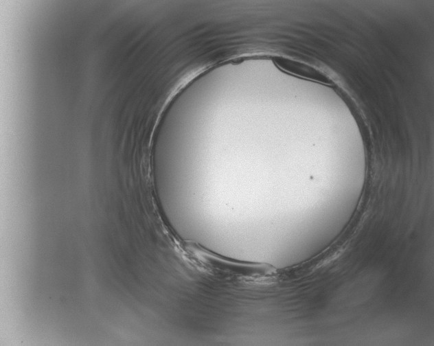 X0000080171145200612302212