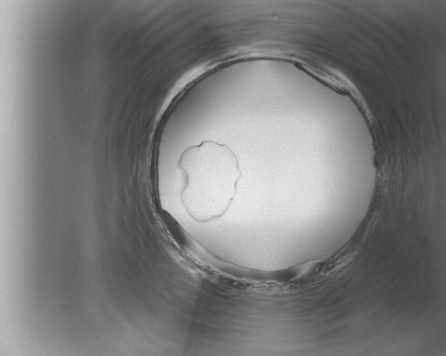 X0000080171146200612302213