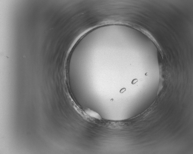 X0000080171148200612302213