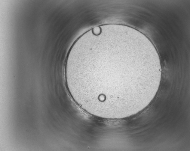 X0000080171150200612302213