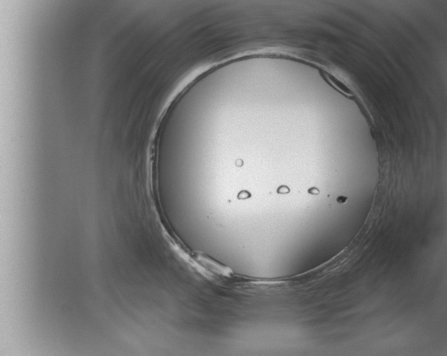 X0000080171151200612302213