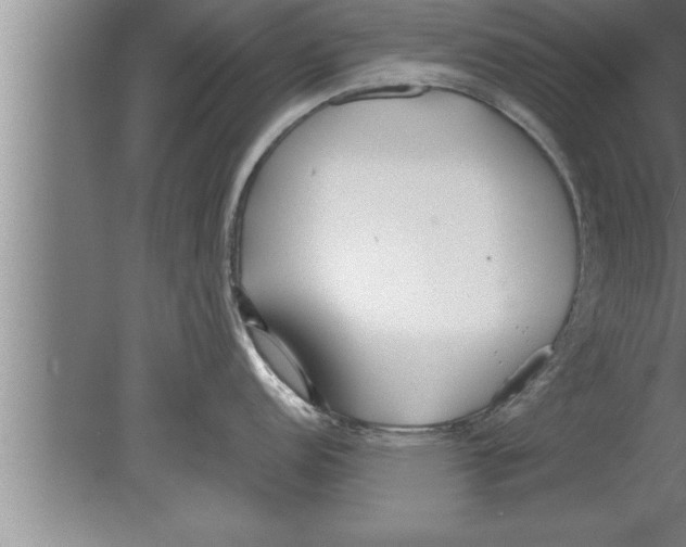 X0000080171152200612302213