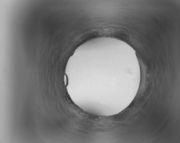 X0000080171153200612302212