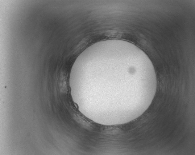 X0000080171154200612302212