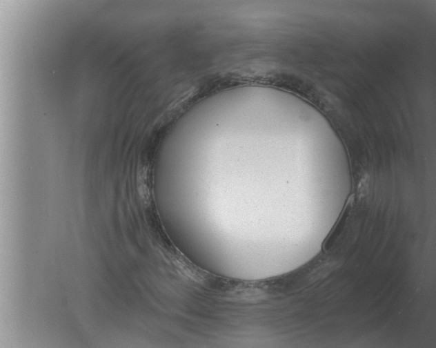 X0000080171156200612302212