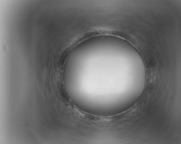 X0000080171157200612302212