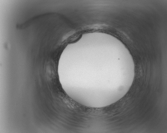 X0000080171158200612302212