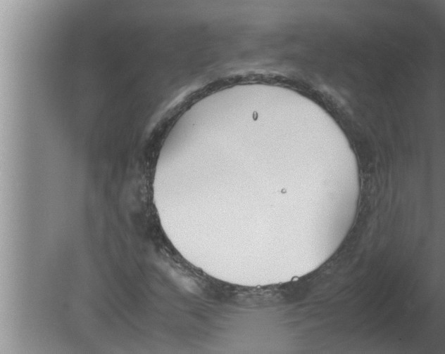 X0000080171159200612302212