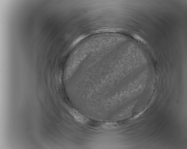 X0000080171161200612302212